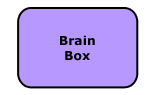 Brain Box