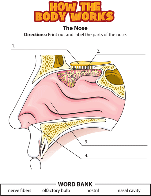 htbw nose gif. This page was designed to be printed. We are working on creating an accessible version.