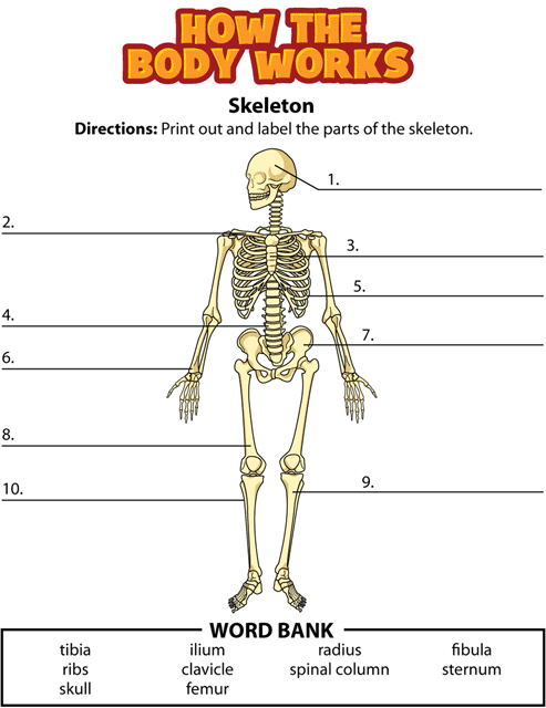 htbw skeleton gif. This page was designed to be printed. We are working on creating an accessible version.