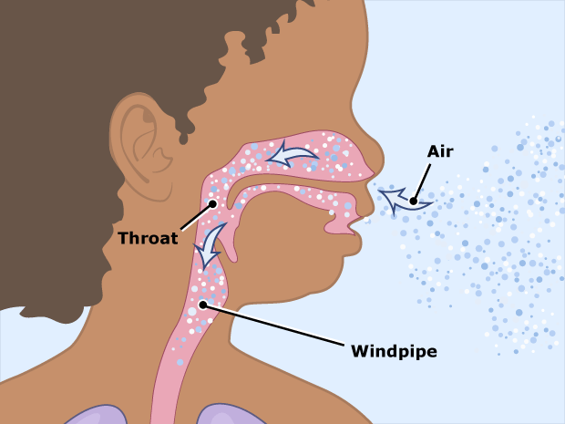 The body needs oxygen for energy. It gets this oxygen from the air around you.  When you breathe in through your nose or mouth, you pull air into your throat and down the windpipe.