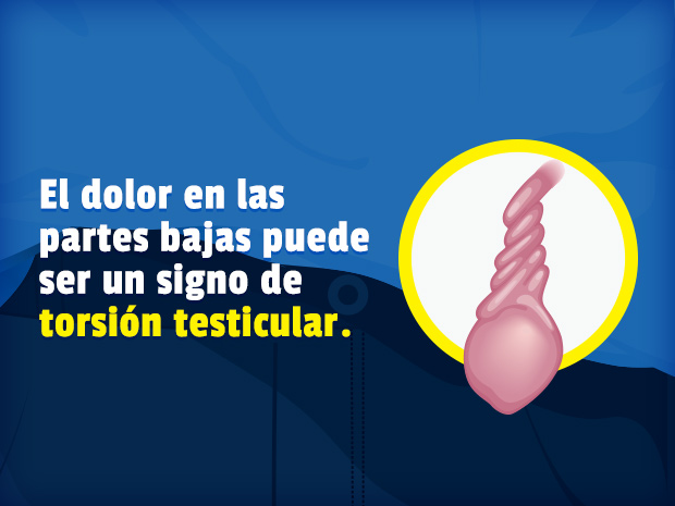 Cuando se retuerce el cordón, el testículo deja de recibir la sangre que necesita. El niño a quien le ocurra esto, notará dolor y verá que se le inflama el testículo.