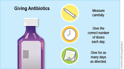 Measure carefully. Give the correct number of doses each day. Give for as many days as directed. 