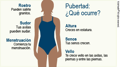 Pubertad: ¿Qué ocurre? Altura - Creces en estatura. Senos - Tus senos crecen. Vello - Te crece vello en las axilas, las piernas y entre las piernas. Rostro - Pueden salirte granitos. Sudor - Tus axilas pueden sudar. Menstruación - Comienza tu menstruación.